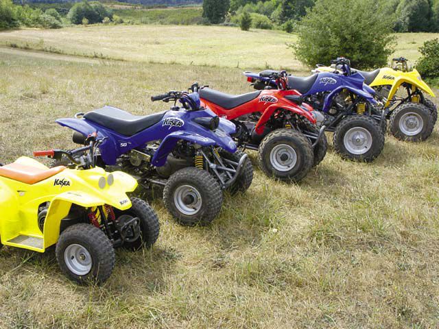 Kasea explorer 250 store buggy