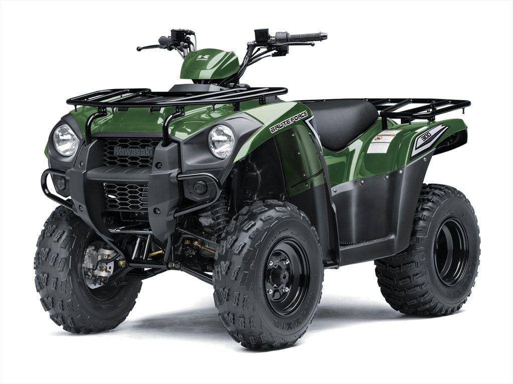 2017 kawasaki 300 brute force